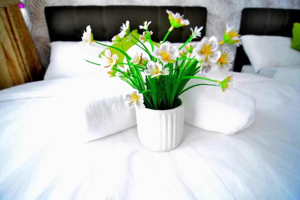 קוצ'ינג Vivacity Jazz Suite New Luxury Vivacity Cozy Home Lv8 מראה חיצוני תמונה